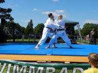 Bilder_2012 (4)